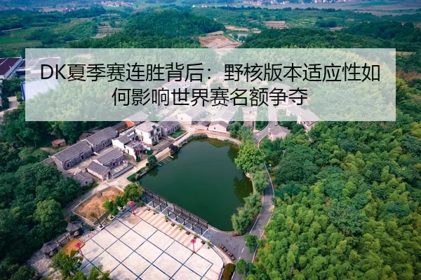 DK夏季赛连胜背后：野核版本适应性如何影响世界赛名额争夺