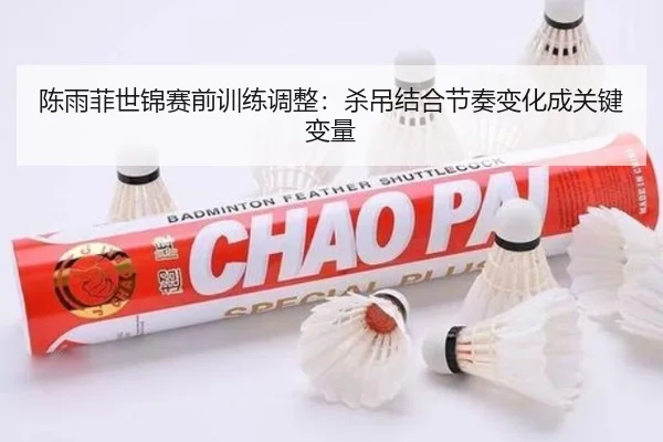 陈雨菲世锦赛前训练调整：杀吊结合节奏变化成关键变量